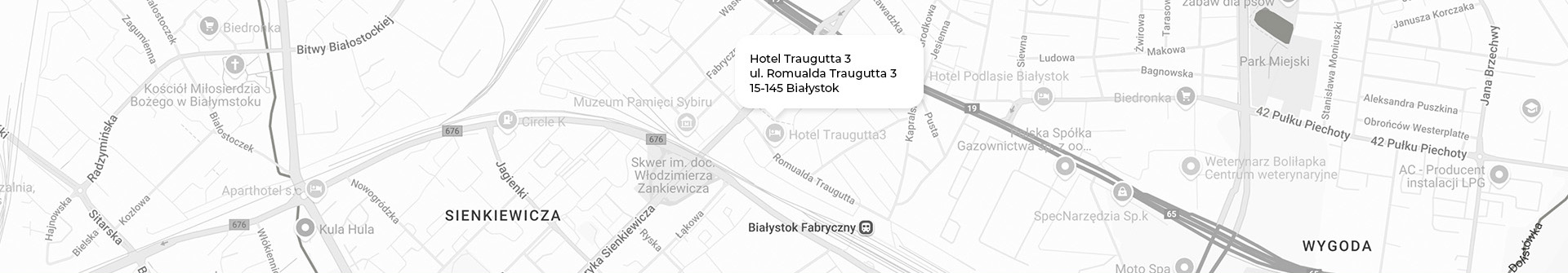 Opis grafiki